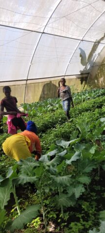 Gewächshaus - Essen für die Kinder im Center