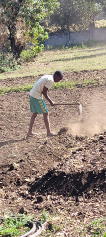 Fleißig wird gearbeitet