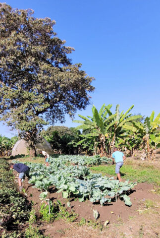 Die Farm im September 2025